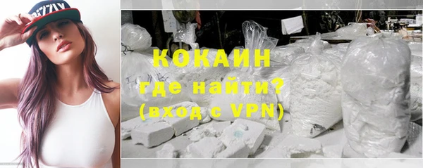 спайс Бородино