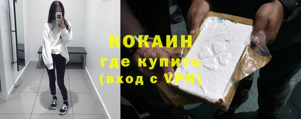 спайс Бородино