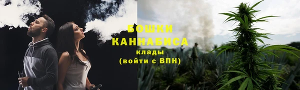 спайс Бородино