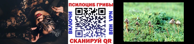 Псилоцибиновые грибы Cubensis  Волчанск 
